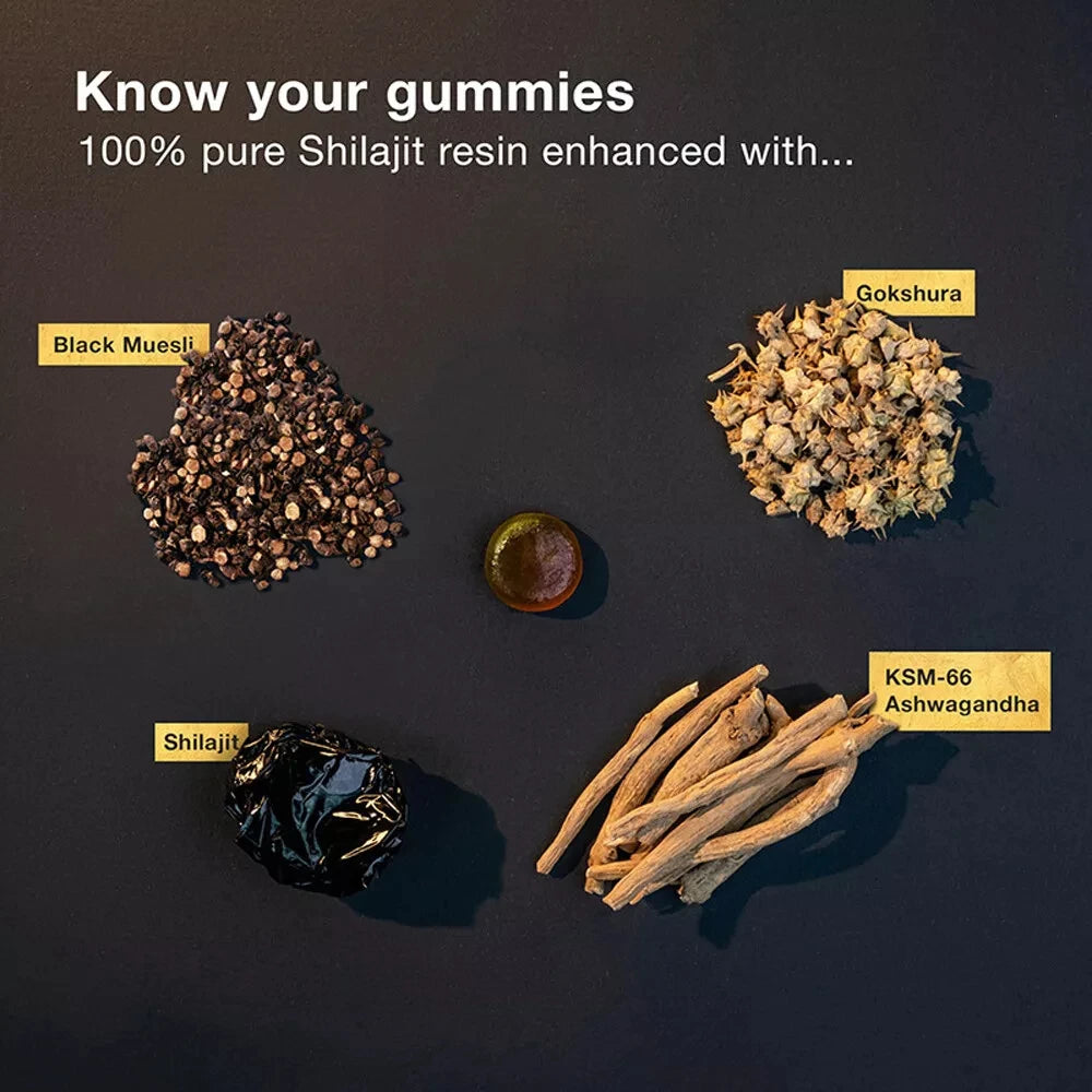 Pure Himalayan Shilajit Gummies™